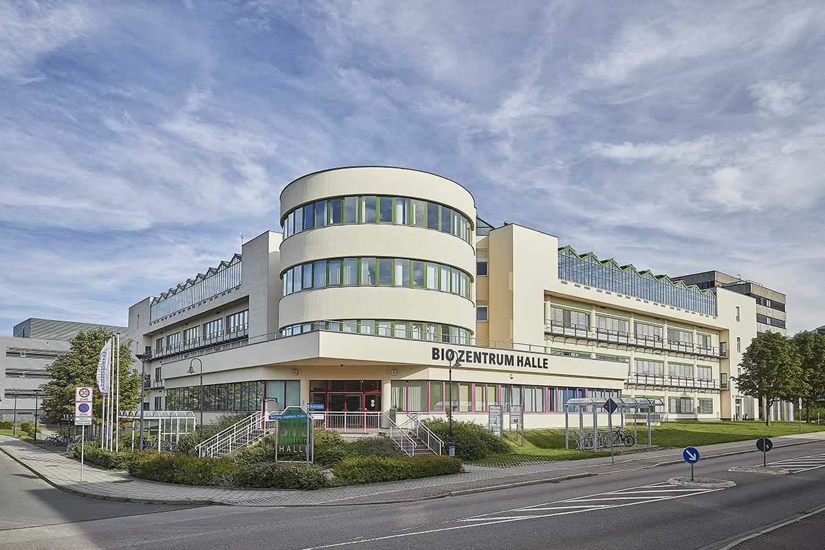 Fraunhofer-Institut für Zelltherapie und Immunologie (IZI)
