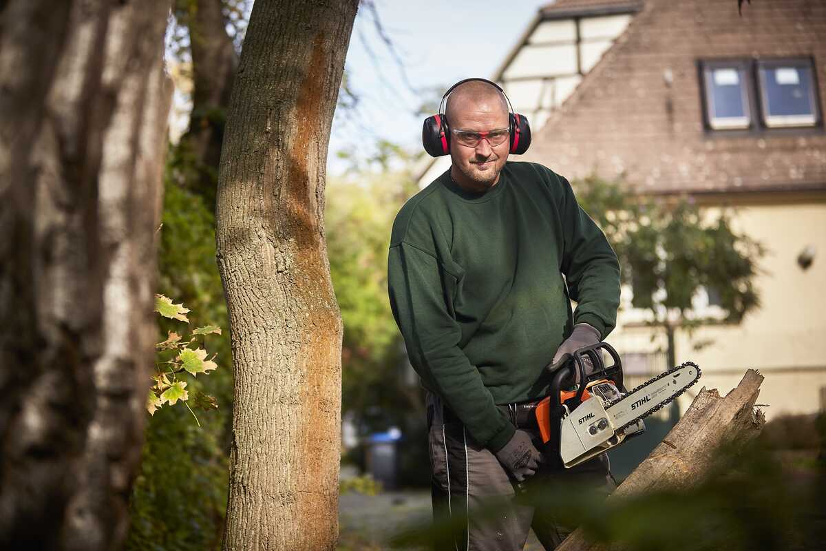 Foto: Marco Warmuth_TGZ/Gerlach - Garten-& Grundstückspflege Gerlach Ein Mann steht an einem Baum und hatte eine Kettensäge in der Hand.