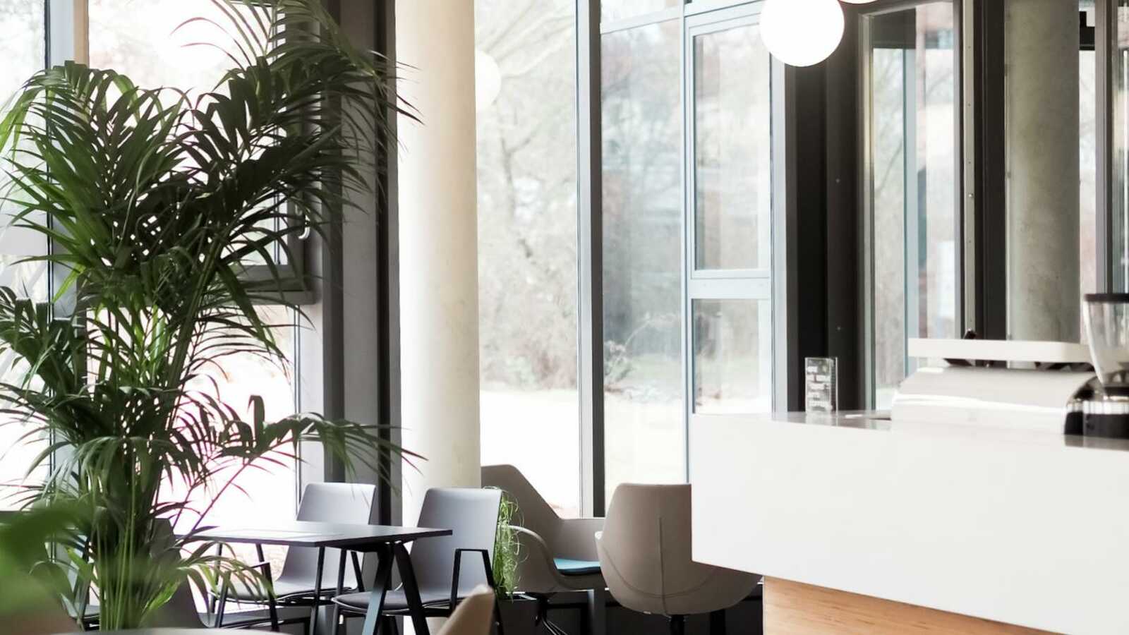 Roy Coffee Hub