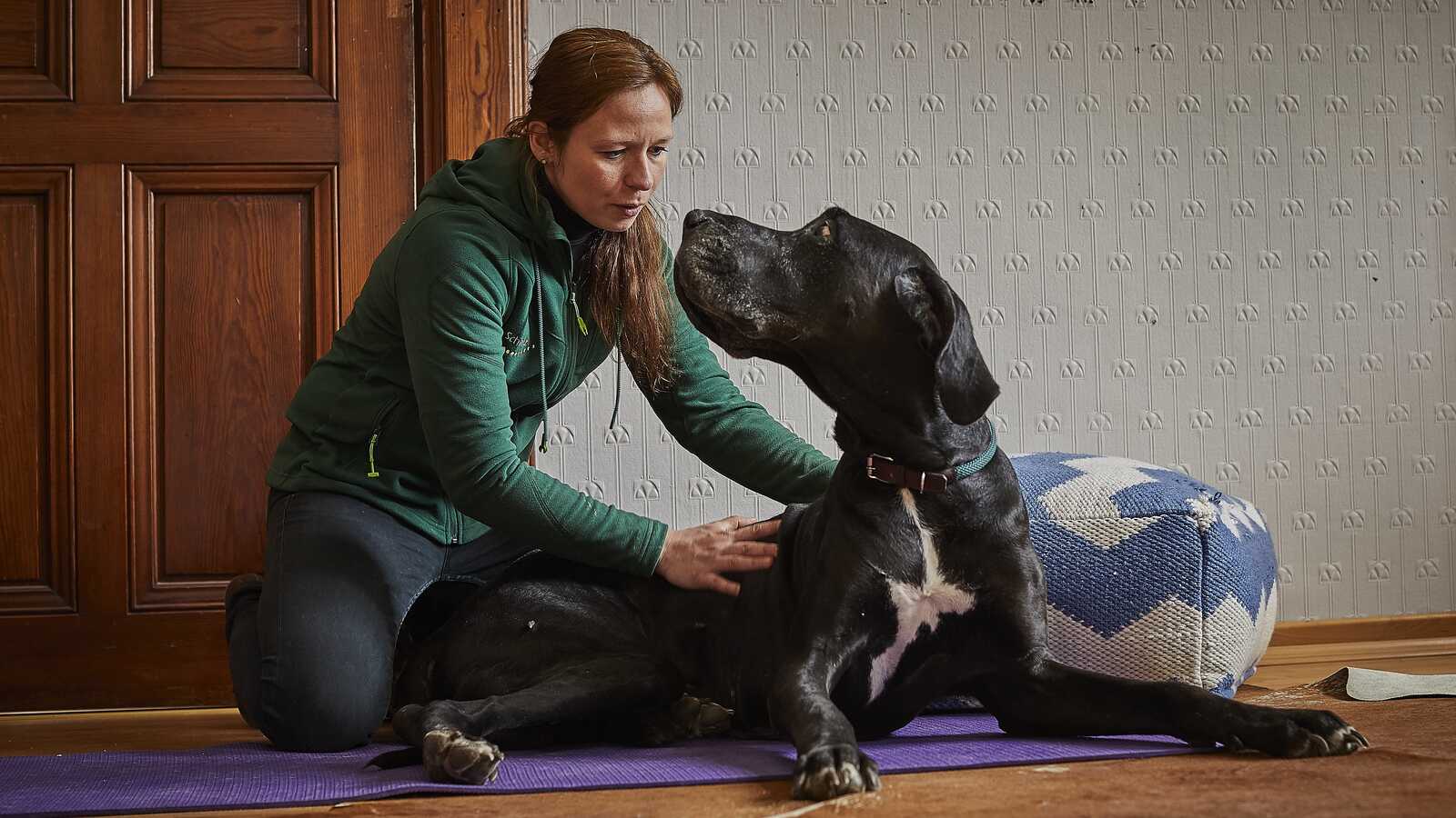 Eine Frau massiert einen Hund in einem Raum auf dem Boden. 