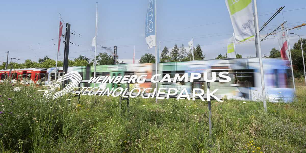 Kreisverkehr mit Schriftzug Technologiepark Weinberg Campus